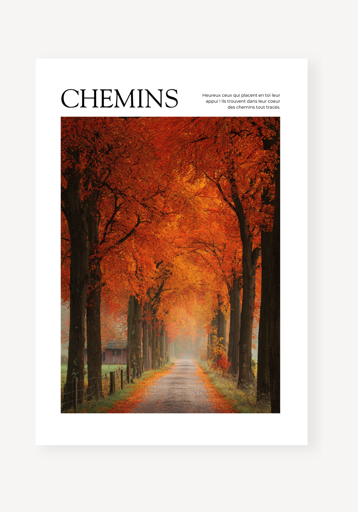 CHEMINS (Copie)